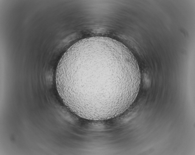 X0000111450668200907271231