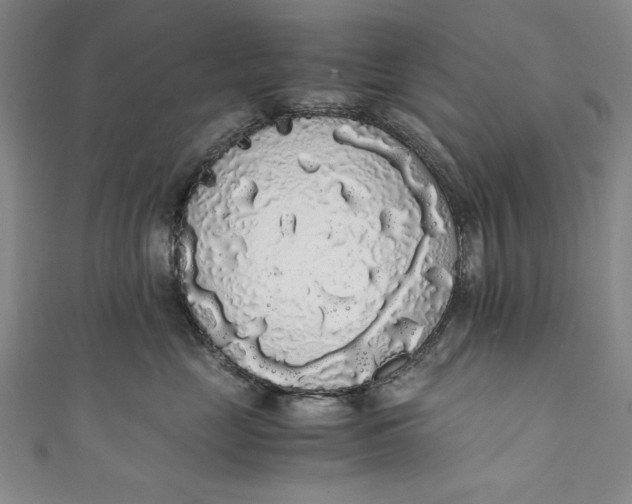 X0000111450669200907271231