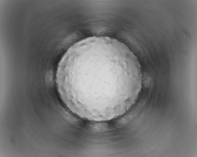 X0000111450670200907271232