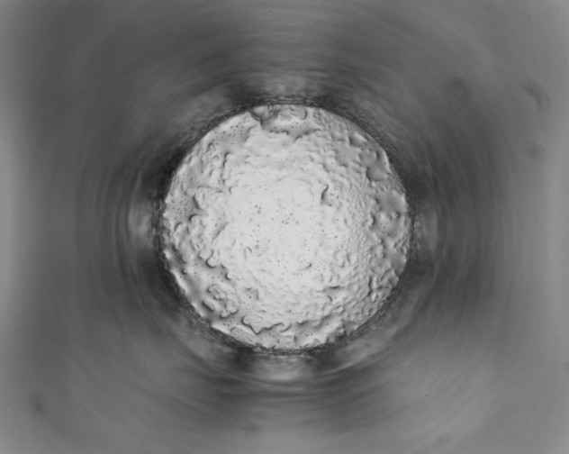 X0000111450671200907271232