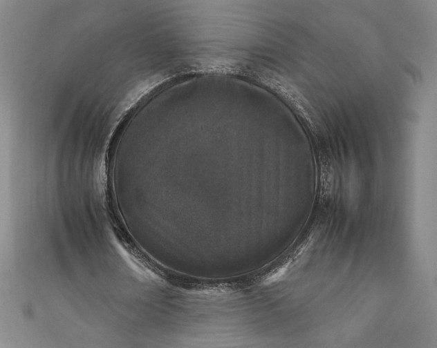 X0000111450674200907271231