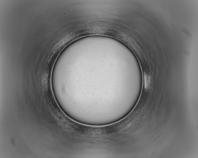 X0000111450675200907271231