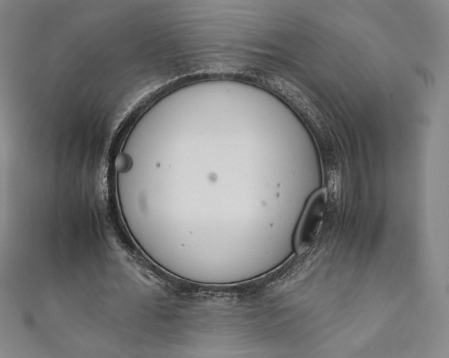 X0000111450676200907271231