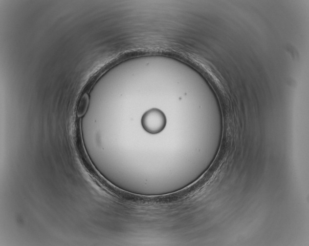 X0000111450677200907271231