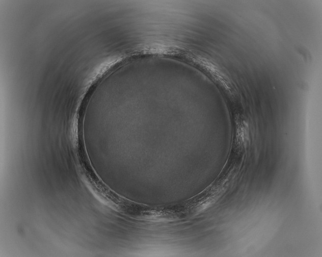 X0000111450678200907271231