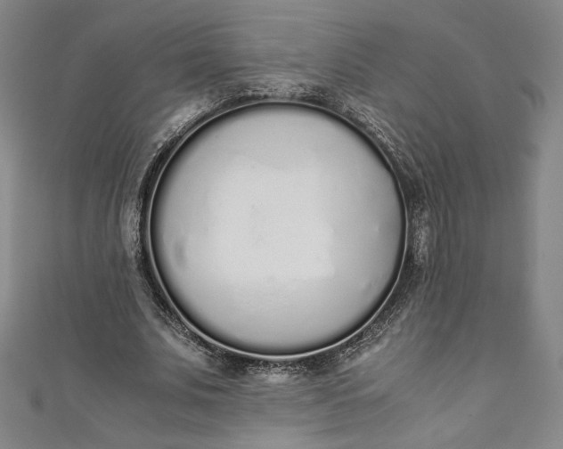 X0000111450679200907271231