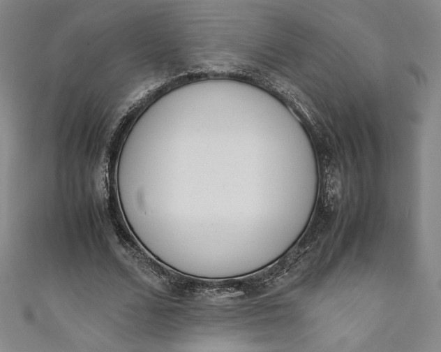 X0000111450680200907271231