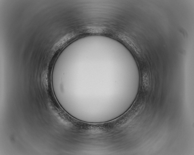 X0000111450682200907271231
