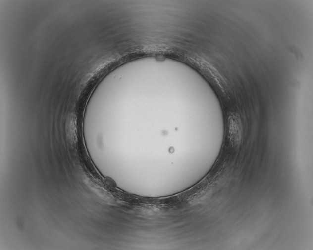 X0000111450684200907271231