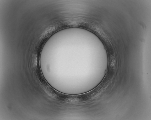 X0000111450685200907271231