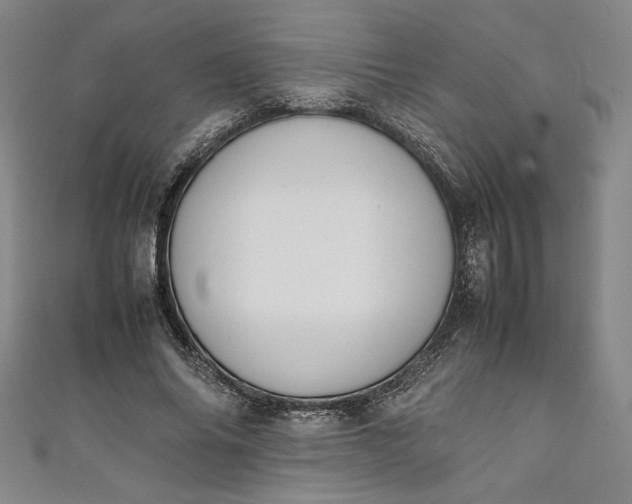 X0000111450686200907271231