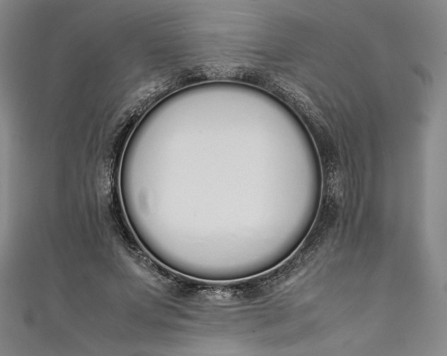 X0000111450687200907271231