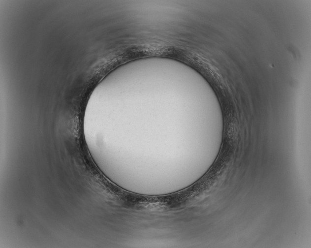 X0000111450689200907271231