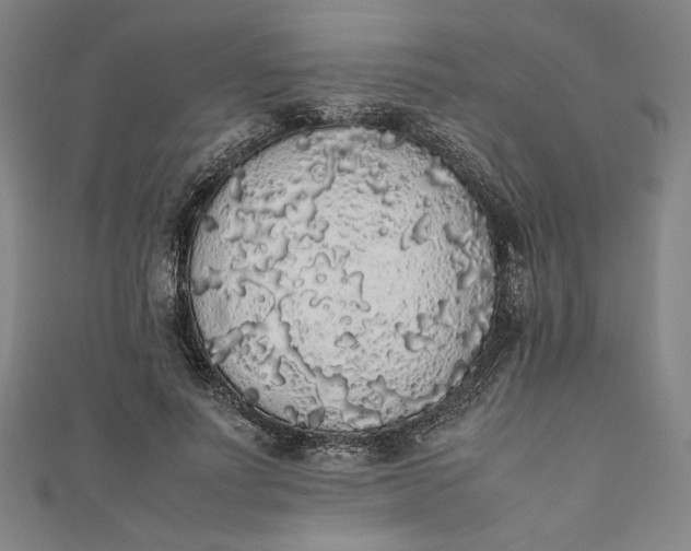 X0000111450691200907271231
