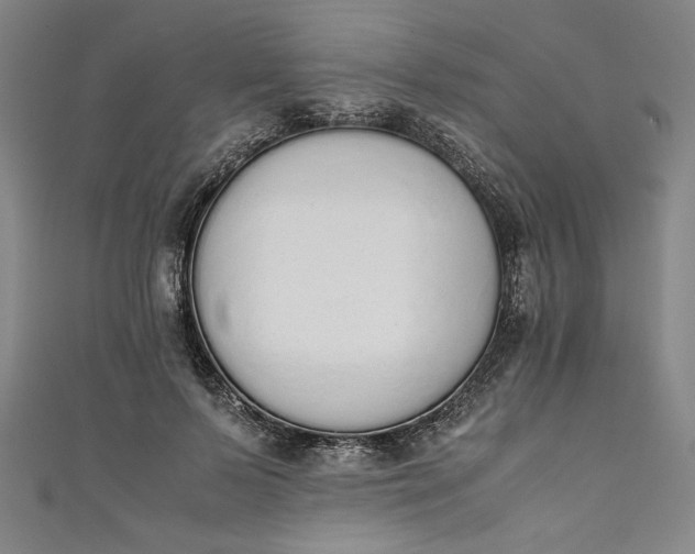 X0000111450695200907271231