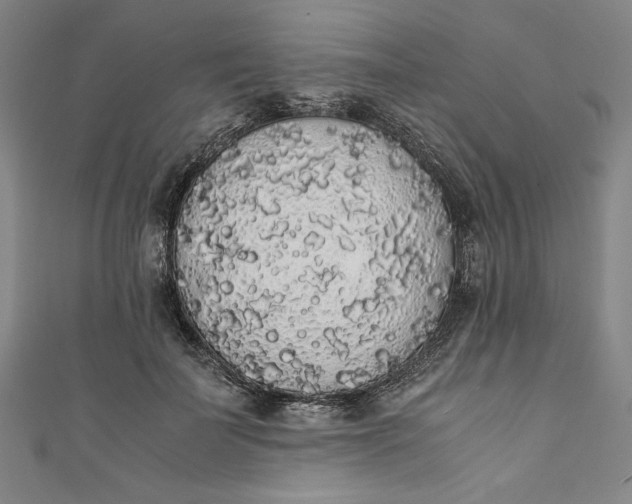 X0000111450699200907271231