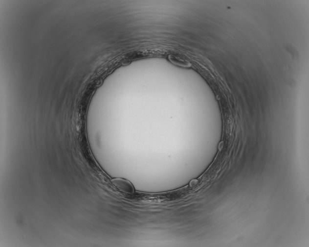X0000111450701200907271231