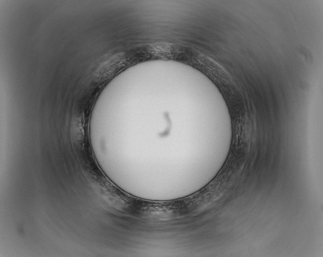 X0000111450702200907271231