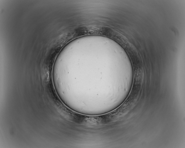 X0000111450703200907271231