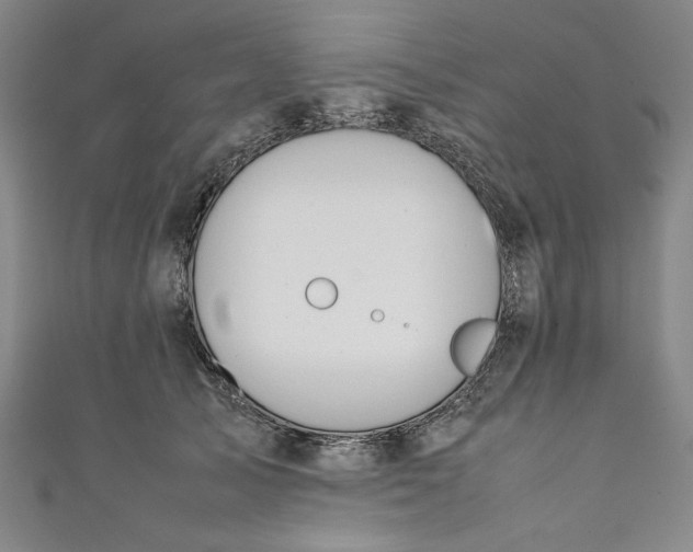 X0000111450705200907271231