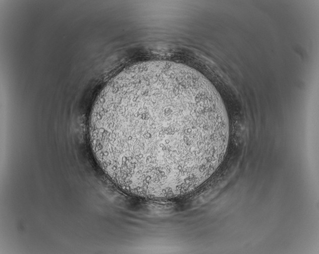 X0000111450707200907271230