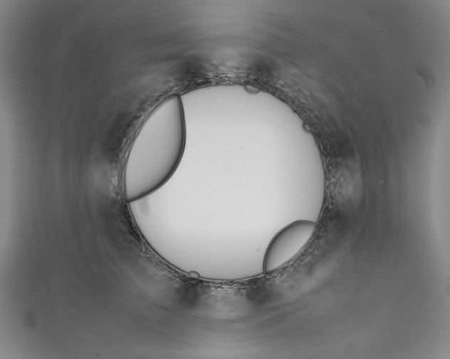 X0000111450709200907271230