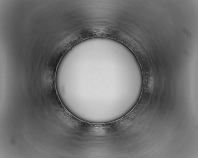 X0000111450710200907271230