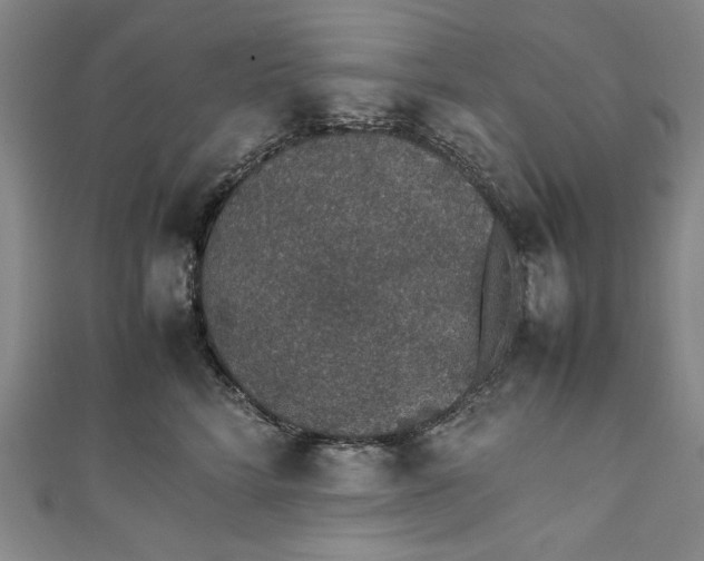 X0000111450712200907271230