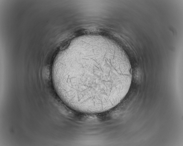 X0000111450715200907271230