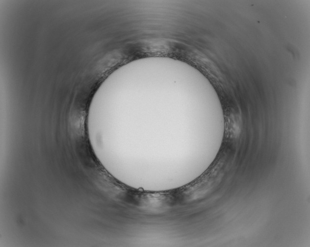 X0000111450717200907271230