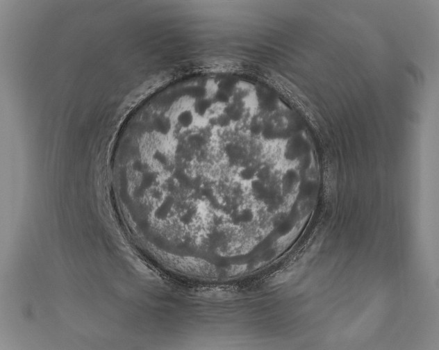X0000111450721200907271230