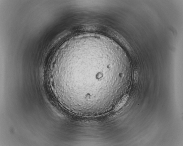 X0000111450722200907271230