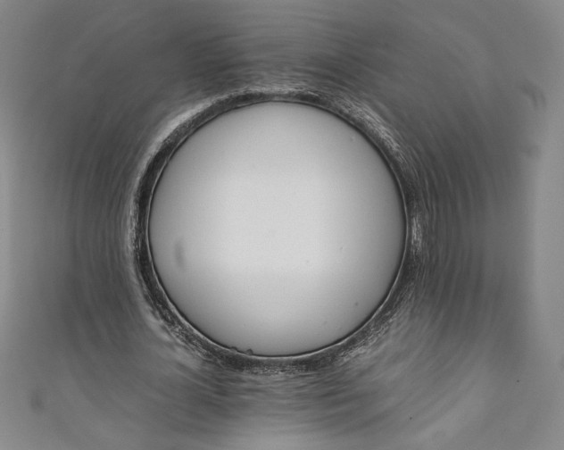 X0000111450724200907271230