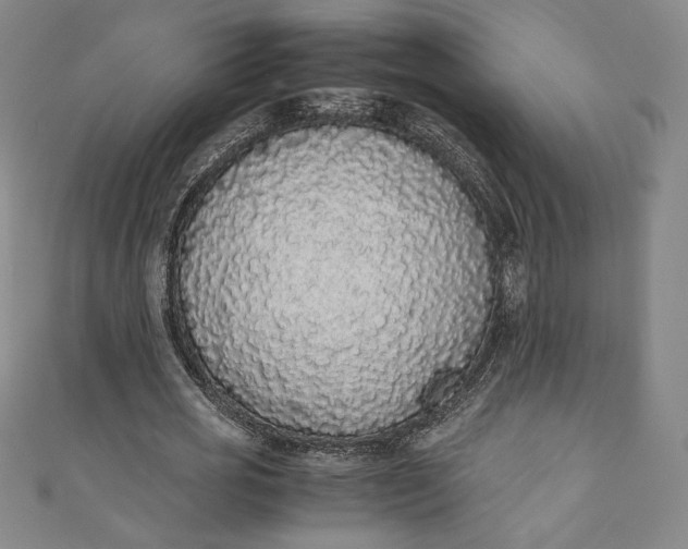 X0000111450725200907271230