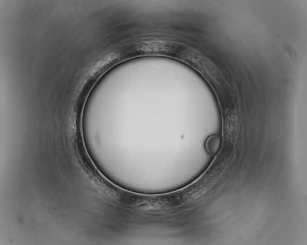 X0000111450727200907271230