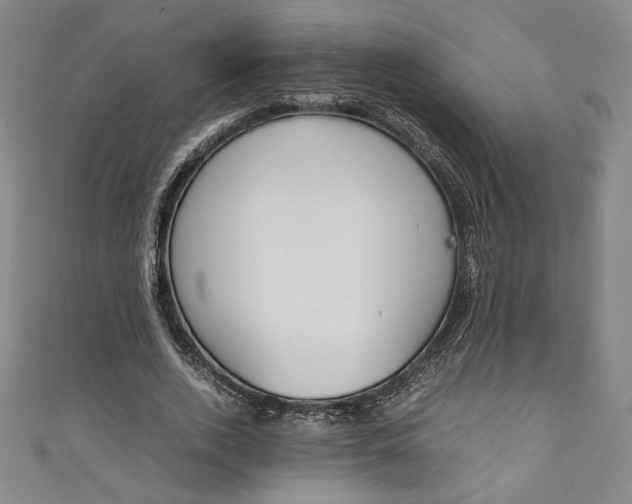 X0000111450728200907271230