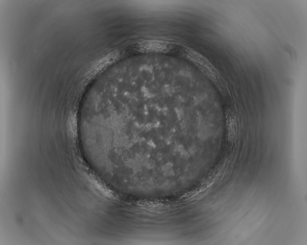 X0000111450729200907271230