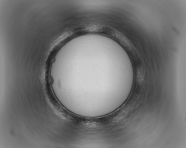 X0000111450730200907271230