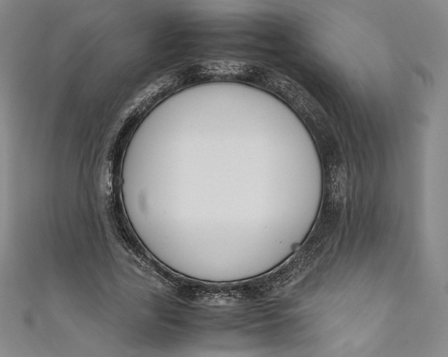 X0000111450731200907271230