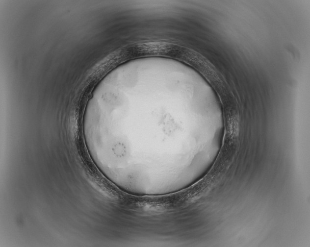 X0000111450733200907271230