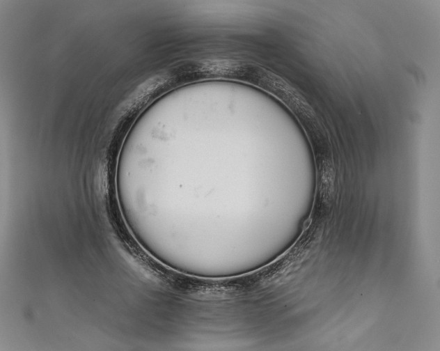 X0000111450734200907271230