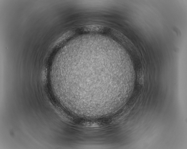 X0000111450735200907271230