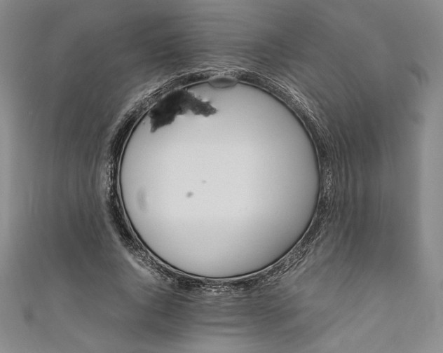 X0000111450736200907271230