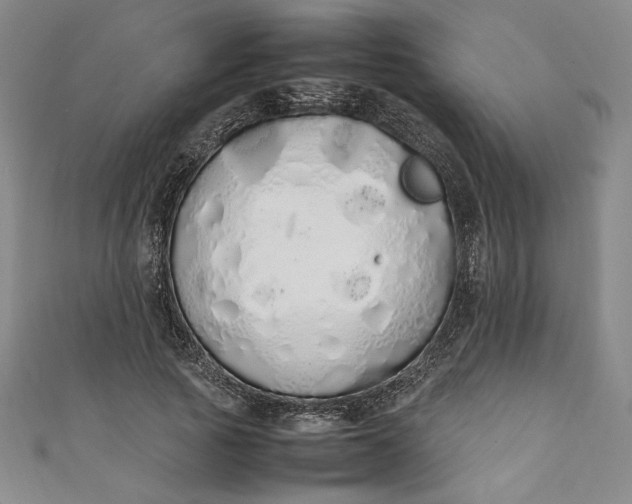 X0000111450737200907271230