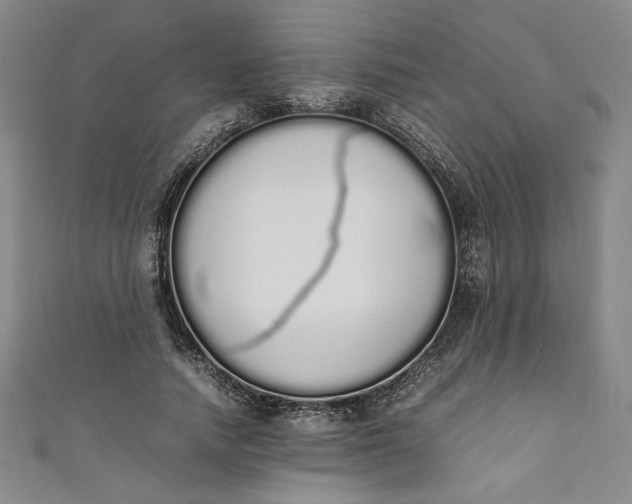 X0000111450738200907271230