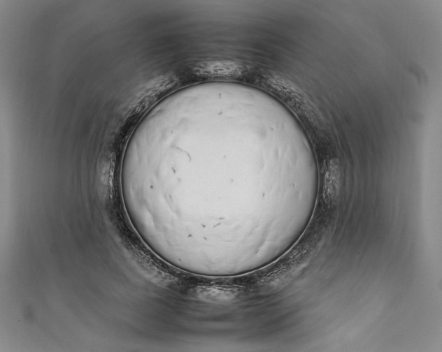 X0000111450739200907271230