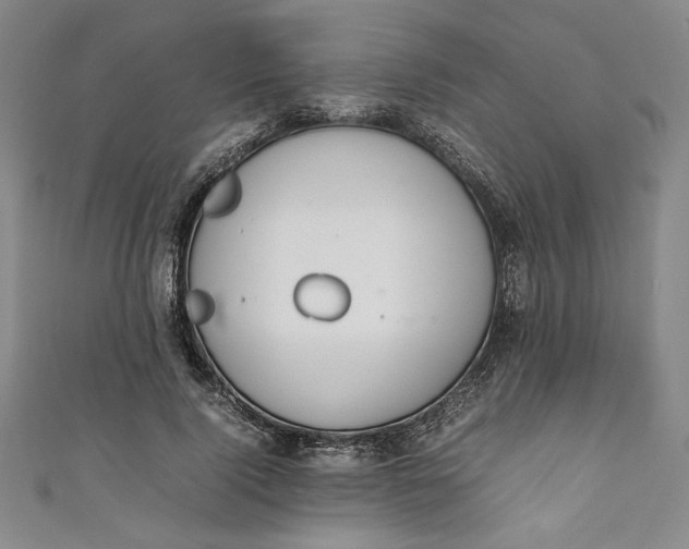X0000111450740200907271230