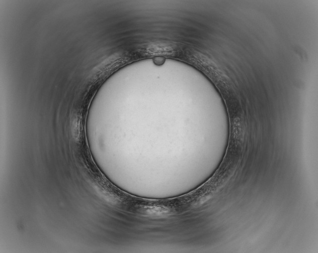 X0000111450741200907271230