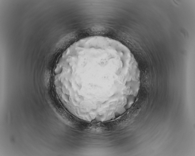 X0000111450742200907271230