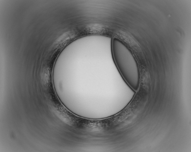 X0000111450744200907271230